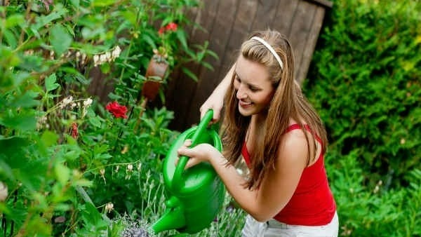 కాక్టస్ పెంచాలంటే సరైన ప్లేస్ లో పెట్టాలి 