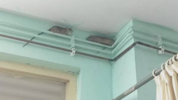 ఎంజీఎం ఆస్పత్రి ఘటనతోనైనా మారని సర్కార్ తీరు