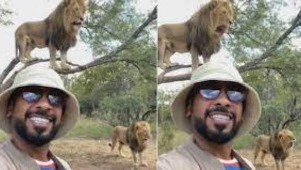  జూ లో ఇలా..