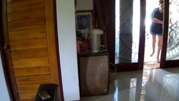  రెప్పపాటులో వచ్చిన పాము