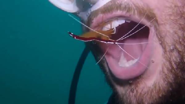 నోటిలోకి ఎంట్రీ నోటిలోకి ఎంట్రీ