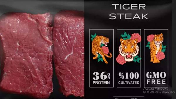  పులి, సింహాం మాంసం..