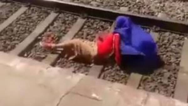 తున తునకాలు అయితే..? తున తునకాలు అయితే..?