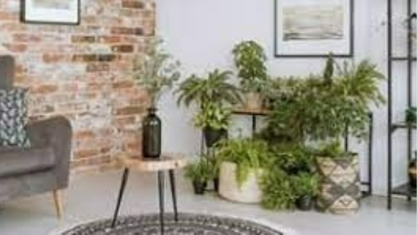 ఇల్లు ఊడ్వాలంటే సమయ పాలన అవసరం .. రాత్రి వేళల్లో ఊడిస్తే ఆర్దిక ఇబ్బందులు ఇల్లు ఊడ్వాలంటే సమయ పాలన అవసరం .. రాత్రి వేళల్లో ఊడిస్తే ఆర్దిక ఇబ్బందులు