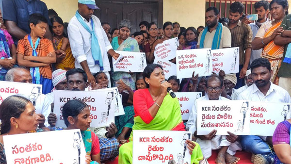 రైతులతో కలిసి వైఎస్ షర్మిల ధర్నా