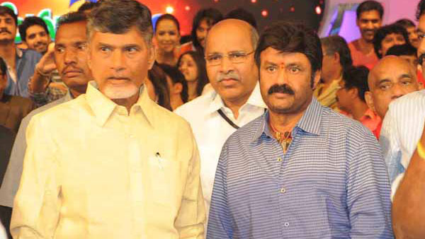 ఏడాది పాటు ఉత్సవాలకు ప్రణాళికలు