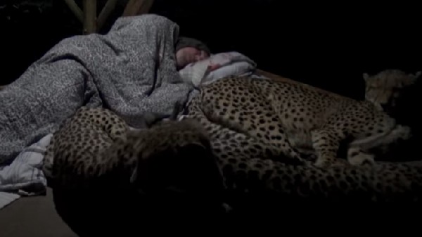 జంతు ప్రేమికుడే.. జంతు ప్రేమికుడే..