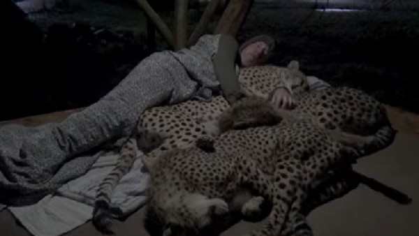 చిరుతతో కలిసి... చిరుతతో కలిసి...