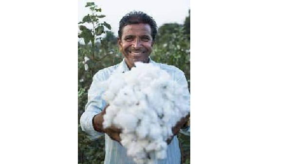  మొన్న మిర్చి, ఇప్పుడు పత్తి ఆల్ టైం రికార్డ్ ధరలు .. రైతన్నలలో హర్షం 