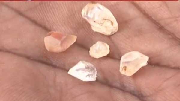 ప్రతి ఏడూ వజ్రాల వేటతో వ్యవసాయానికి ఇబ్బంది