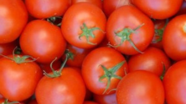 Increased prices of tomatoes, chillies and lemons due to ramadan Increased prices of tomatoes, chillies and lemons due to ramadan