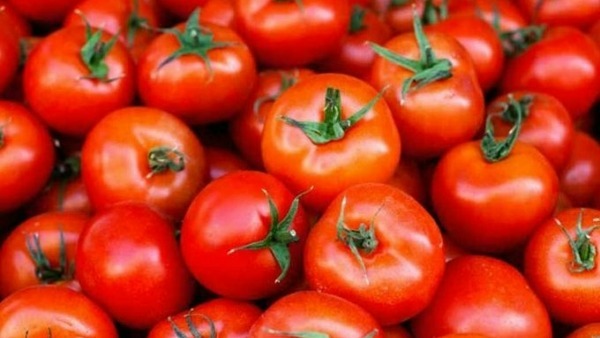 శ్రీలంకకు ఎగుమతి అవుతున్న టమాటాలు.. 