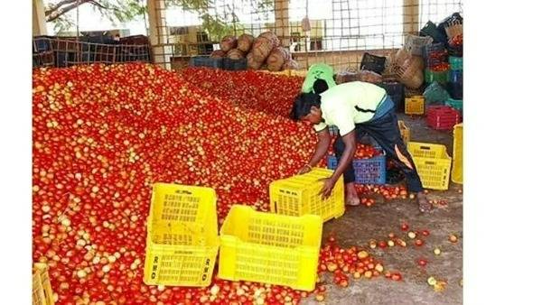 టమాటా ధరలతో ఏం వండాలో అర్ధం కాక ఇబ్బంది పడుతున్న గృహిణులు 