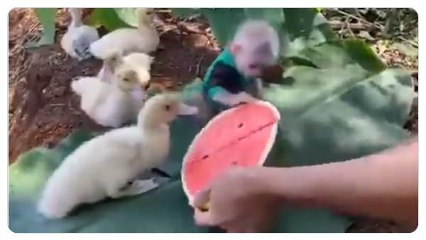 ధైర్యం ఉండాలి..