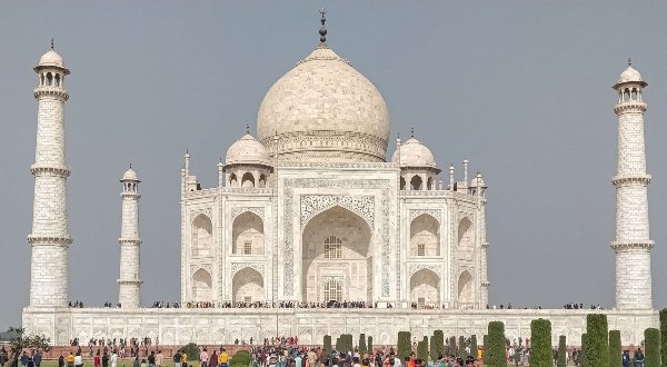 పిటిషనర్ కోరింది ఇదే