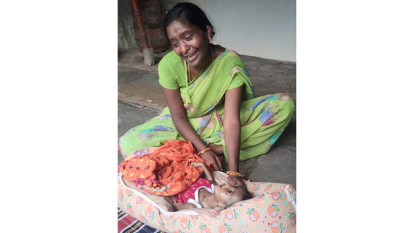 కారుపై చలాన్లు ఉన్నాయని ఆపిన ట్రాఫిక్ పోలీసులు, ఆస్పత్రికి వెళ్ళటంలో జాప్యం కారుపై చలాన్లు ఉన్నాయని ఆపిన ట్రాఫిక్ పోలీసులు, ఆస్పత్రికి వెళ్ళటంలో జాప్యం