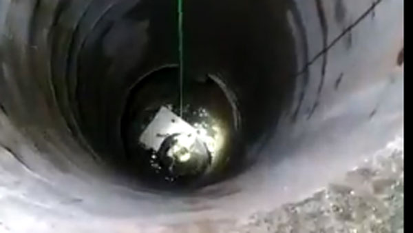 పిల్లి రెస్క్యూ ఆపరేషన్ .. ఆసక్తికర చర్చ పిల్లి రెస్క్యూ ఆపరేషన్ .. ఆసక్తికర చర్చ