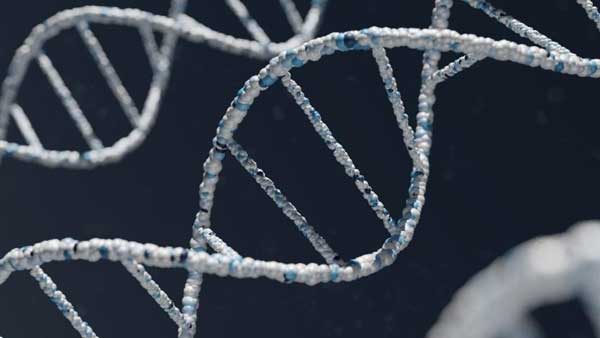 ప్రాజెక్టులో భాగస్వాములు వీరే ప్రాజెక్టులో భాగస్వాములు వీరే