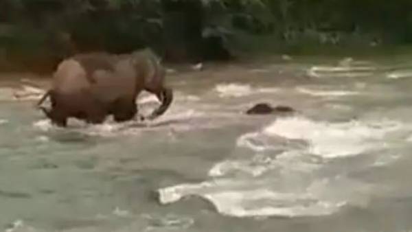  జెడ్ ప్లస్ ప్లస్ ప్లస్ సెక్యూరిటీ