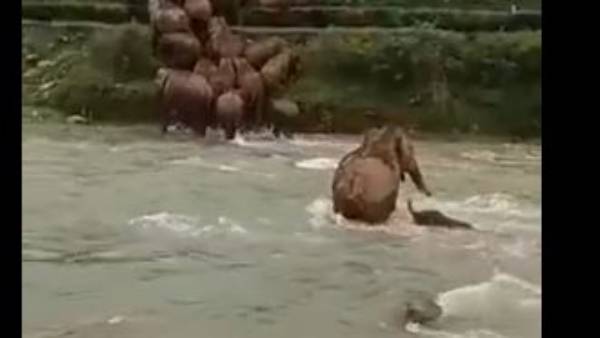 రెండు కలిసి..