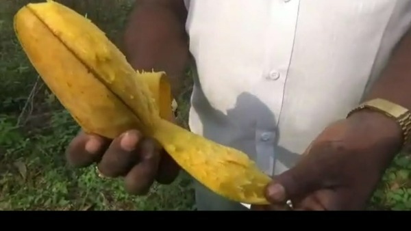  వీఐపీలకు మాత్రమే