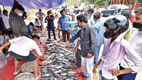  మృగశిర కార్తె రోజు చేపలను ఏ రూపంలో తినొచ్చు.. ఆరోగ్యానికి ఎంతో మేలు