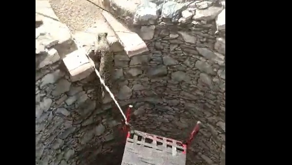 సక్సెస్ ఫుల్