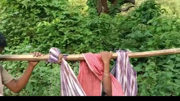 డోలీలలో గర్భిణీ స్త్రీలను ఆస్పత్రికి తరలిస్తున్న గిరిపుత్రులు