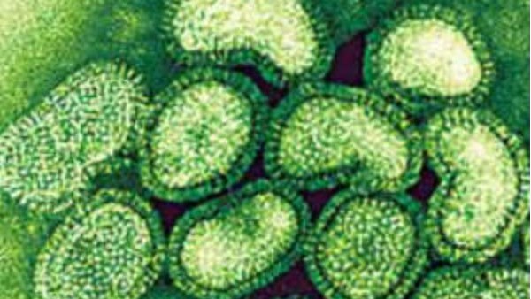 మనుషులపై నో ఎఫెక్ట్ మనుషులపై నో ఎఫెక్ట్