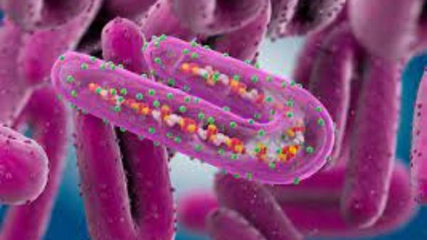  ప్రత్యక్షంగానే.. కానీ