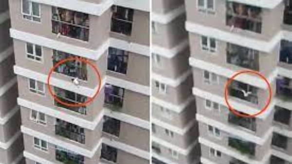  ఐదో అంతస్తు నుండి పడిపోయిన చిన్నారిని పట్టుకున్న వ్యక్తి