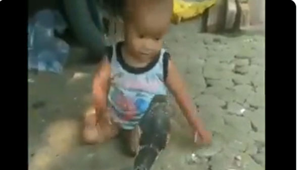 భయమే లేదు..