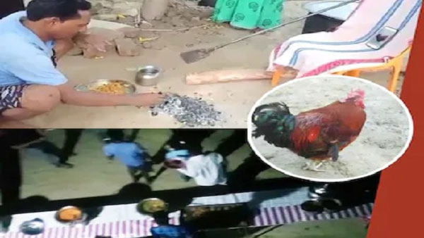 500 మందికి భోజనం