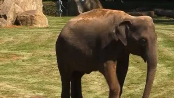  12.4 మిలియన్ల వ్యూస్