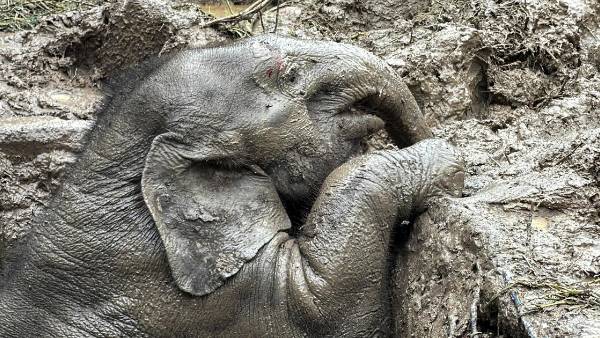 3 గంటలు రెస్క్యూ