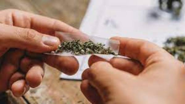 IT Hub: Drugs sold in book stal, Sadashivanagar police investigation in Bengaluru city, IT Hub: Drugs sold in book stal, Sadashivanagar police investigation in Bengaluru city,