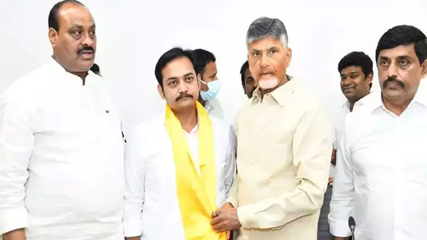 చంద్రబాబు టార్గెట్ పెద్దిరెడ్డి