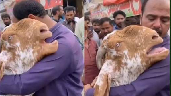 కన్నీరు పెట్టించింది..