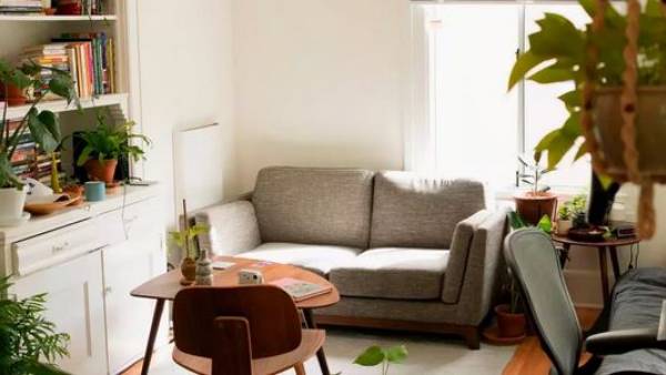  ఒంటె శ్రమకు ప్రతీక.. అందుకే ఒంటె బొమ్మలు ఇంట్లో ఉంటే వృత్తిలో విజయం