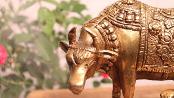 పూజగదిలోనూ, ఇంటి ప్రవేశ ద్వారం వద్ద కామధేను విగ్రహాలు మంచిది పూజగదిలోనూ, ఇంటి ప్రవేశ ద్వారం వద్ద కామధేను విగ్రహాలు మంచిది