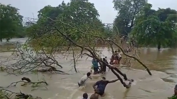 Godavari flood surrounded many villages in Konaseema ares, CWC alerts of latest flows Godavari flood surrounded many villages in Konaseema ares, CWC alerts of latest flows
