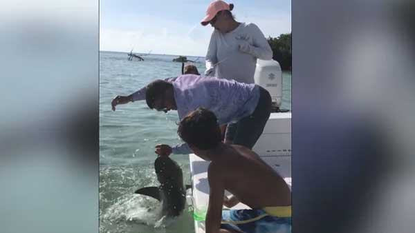 షార్క్‌ను వదిలి..