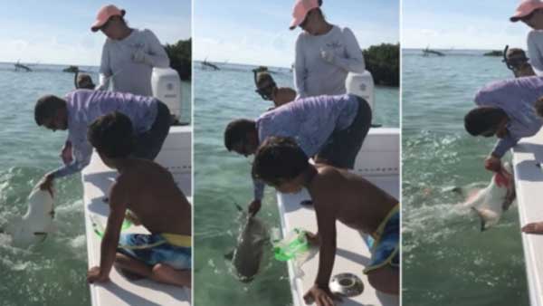 ఏమీ కానట్టు ఉండి..