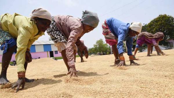 ఎఫ్సీఐ ద్వారా ధాన్యం కొనాలని నిర్ణయం తీసుకున్నాం