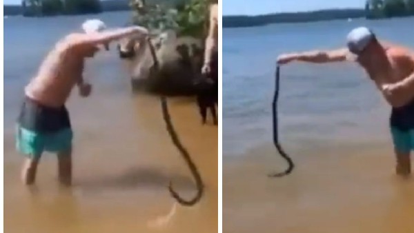 Snakes are scary creatures and no matter the size or breed, any encounter with them is terrifying. Snakes are scary creatures and no matter the size or breed, any encounter with them is terrifying.