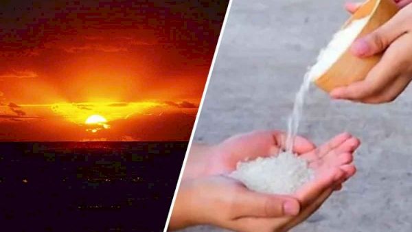  ప్రభుత్వ ఉద్యోగం పొందాలంటే ఆదివారం సూర్యభగవానుడిని ఈ విధంగా పూజించండి