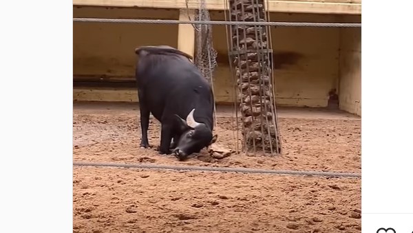 నెటిజన్ల కామెంట్స్ నెటిజన్ల కామెంట్స్