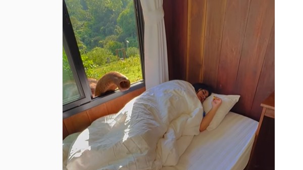 మహిళ పడుకొని ఉండగా.. మహిళ పడుకొని ఉండగా..