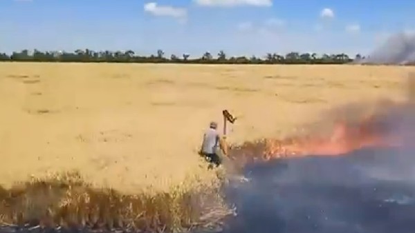 A video of a farmer trying to save his crop is going viral on social media A video of a farmer trying to save his crop is going viral on social media