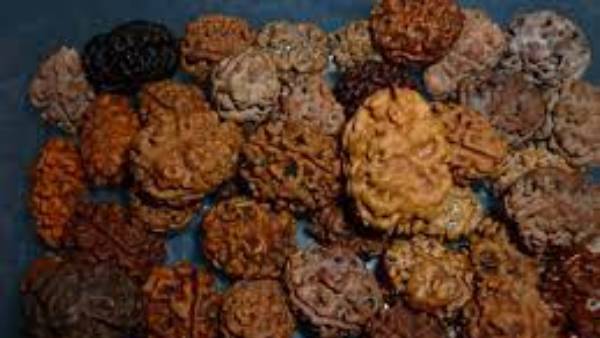 ముత్యాలు, సాలగ్రామాలు, రుద్రాక్షలే కాదు పెట్టకూడనివి ఇవే